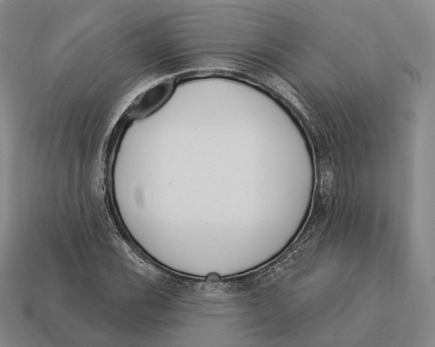X0000113121116200909251107