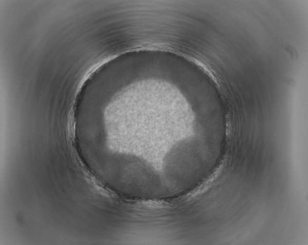 X0000113121117200909251107
