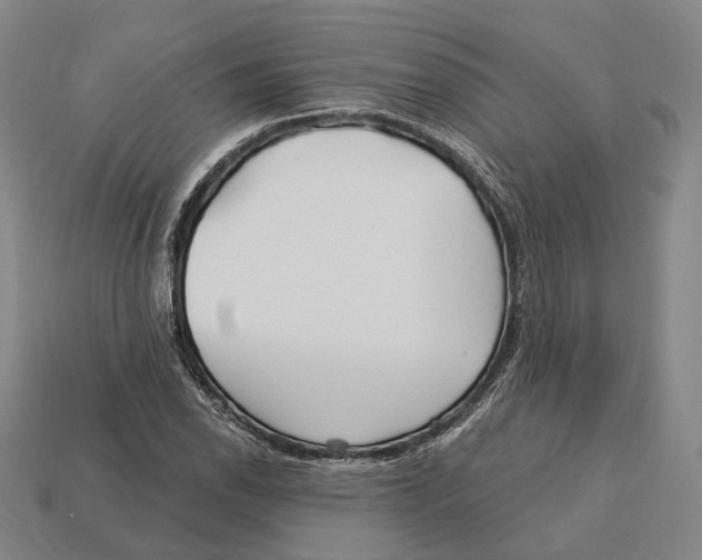 X0000113121118200909251107