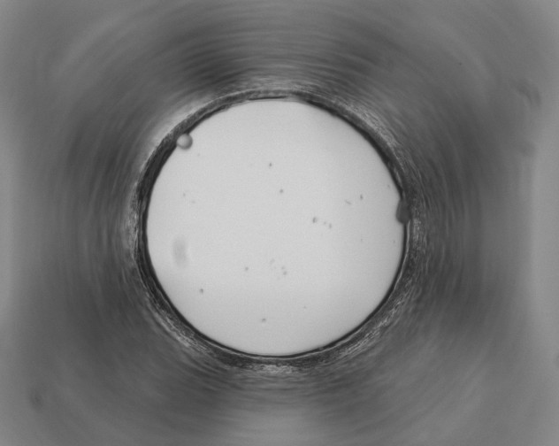 X0000113121119200909251107
