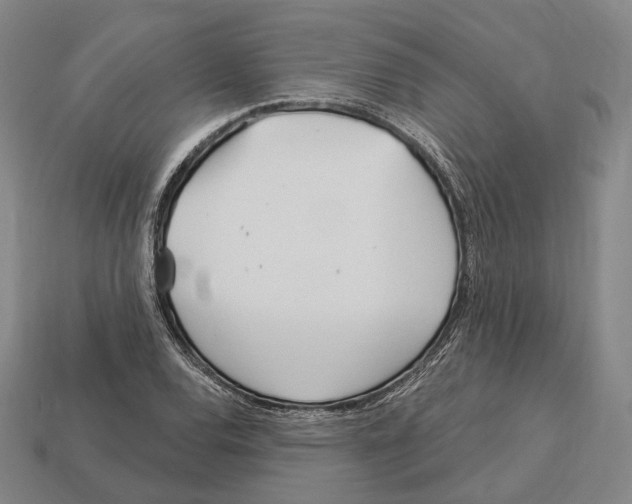 X0000113121120200909251107