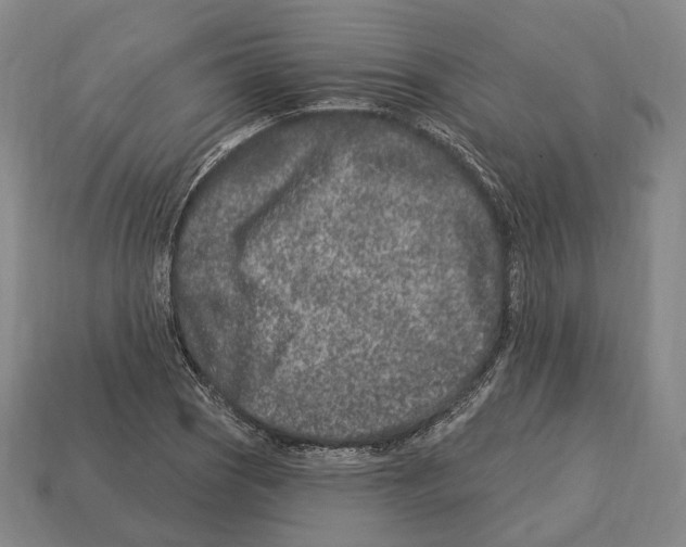X0000113121121200909251107