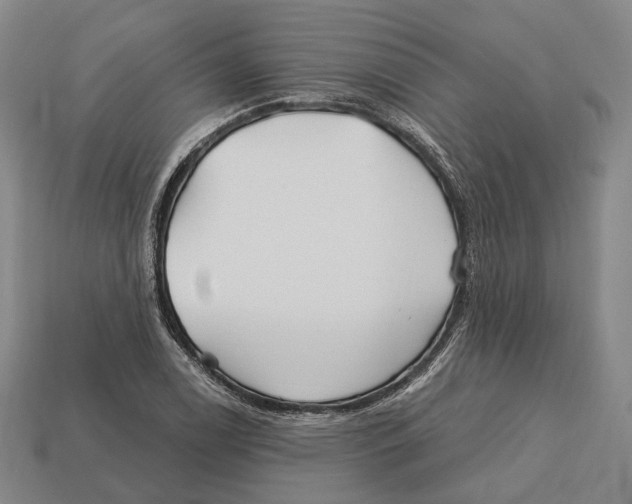 X0000113121122200909251107