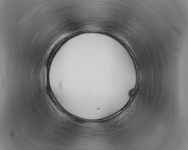 X0000113121123200909251107