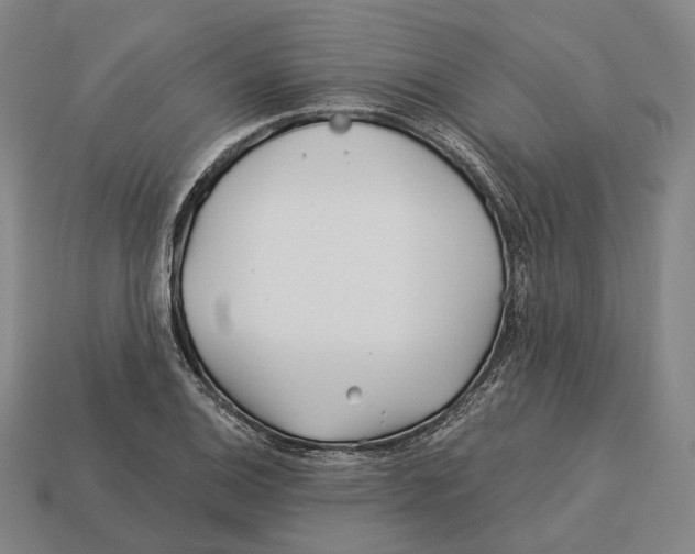 X0000113121124200909251107