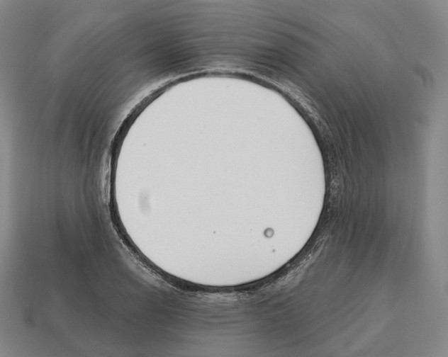 X0000113121126200909251107