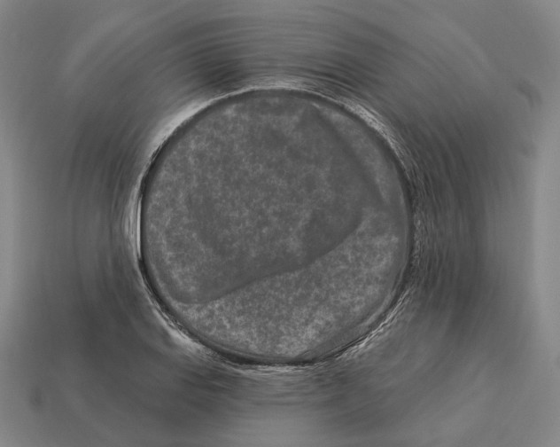 X0000113121127200909251107