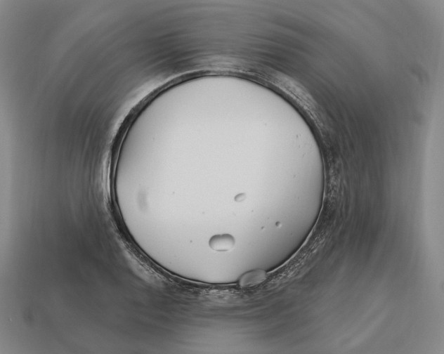 X0000113121128200909251107