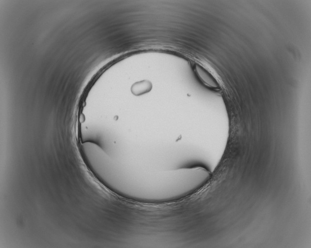 X0000113121132200909251107