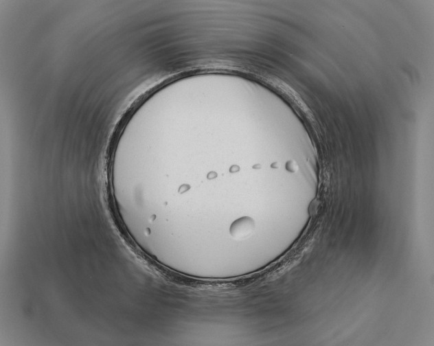X0000113121133200909251107