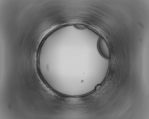 X0000113121134200909251107