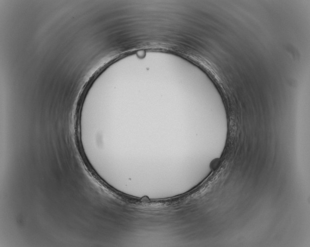 X0000113121135200909251107