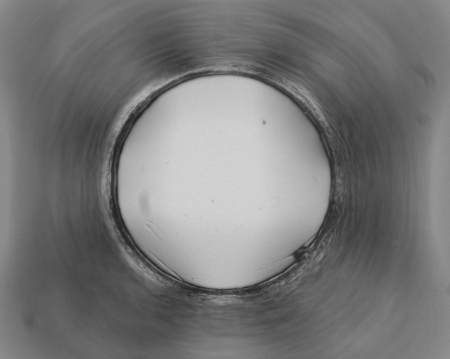 X0000113121136200909251107