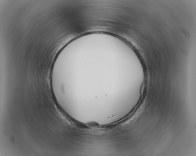 X0000113121137200909251107