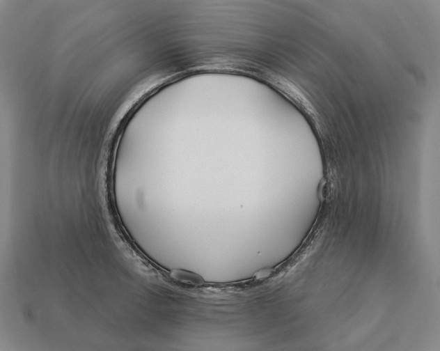 X0000113121138200909251107