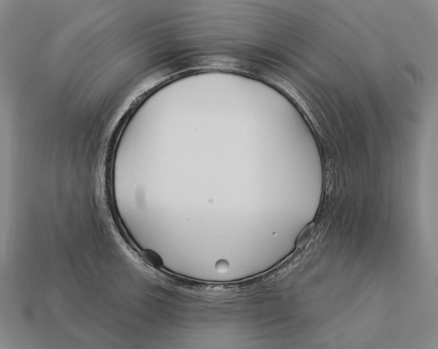 X0000113121139200909251107
