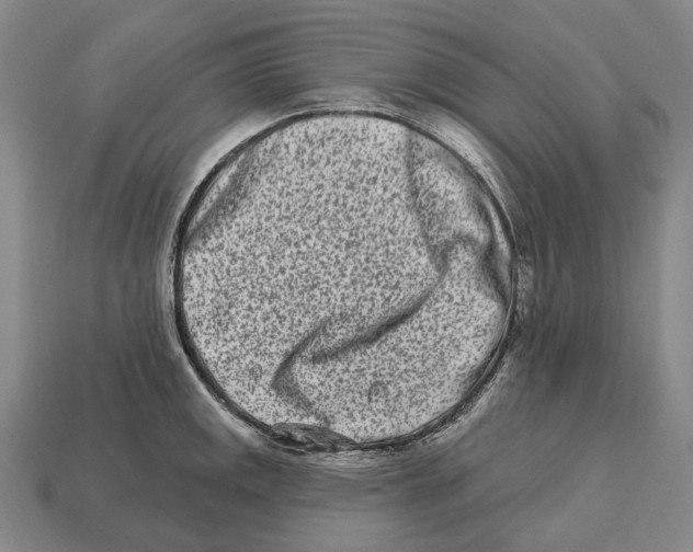 X0000113121141200909251107