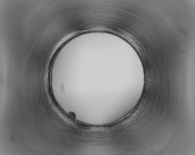 X0000113121142200909251107