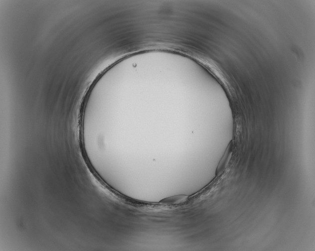 X0000113121143200909251107
