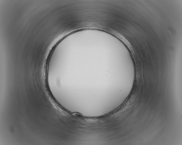 X0000113121144200909251107