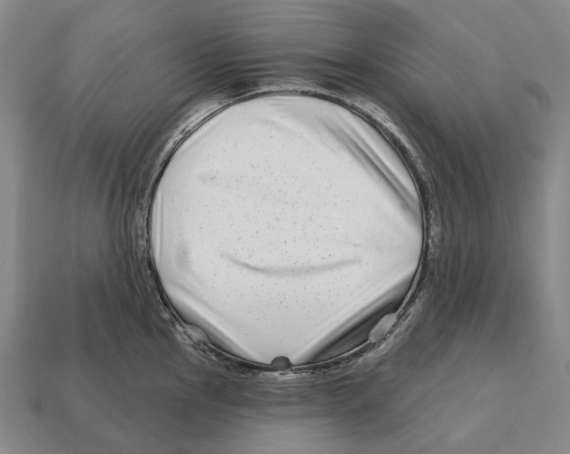X0000113121145200909251107