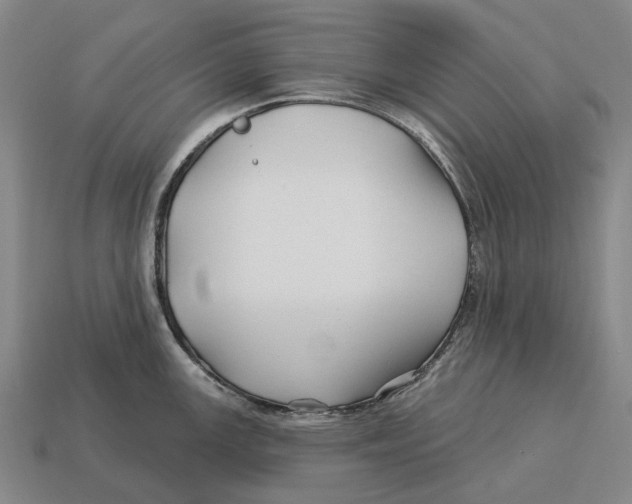 X0000113121147200909251107