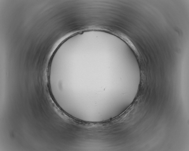 X0000113121148200909251107