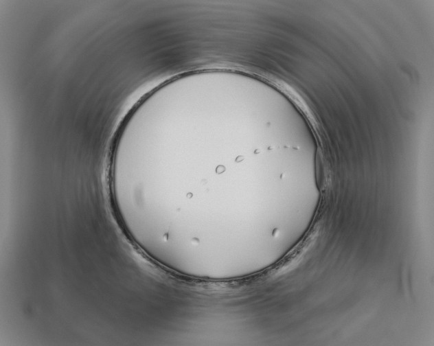 X0000113121149200909251107