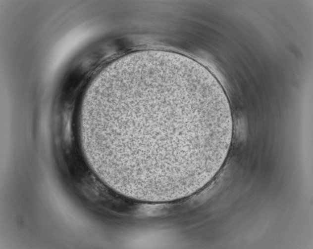 X0000113121150200909251107