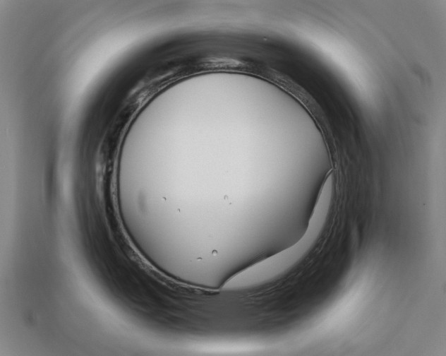 X0000113121151200909251107