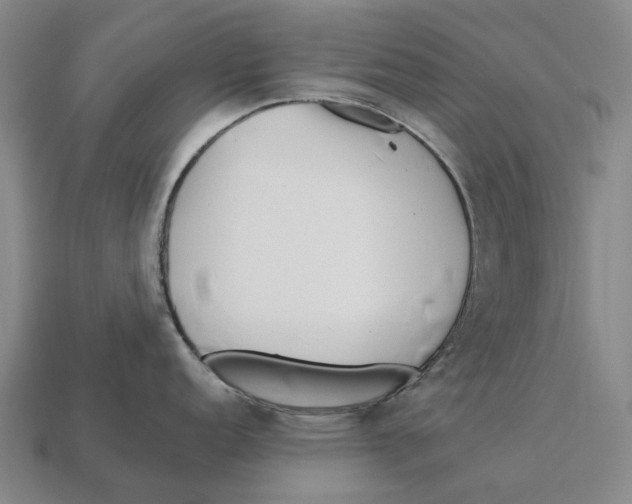 X0000113121152200909251107
