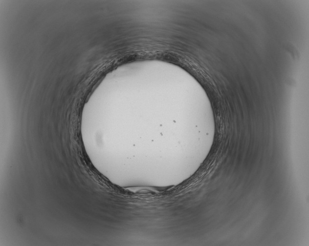 X0000113121153200909251107