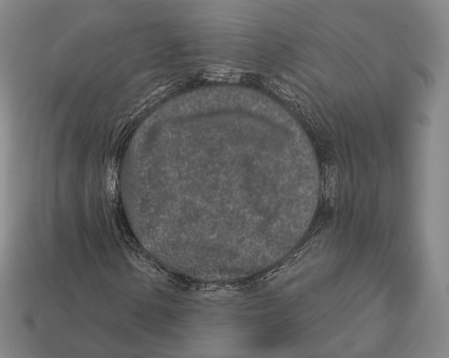 X0000113121154200909251107