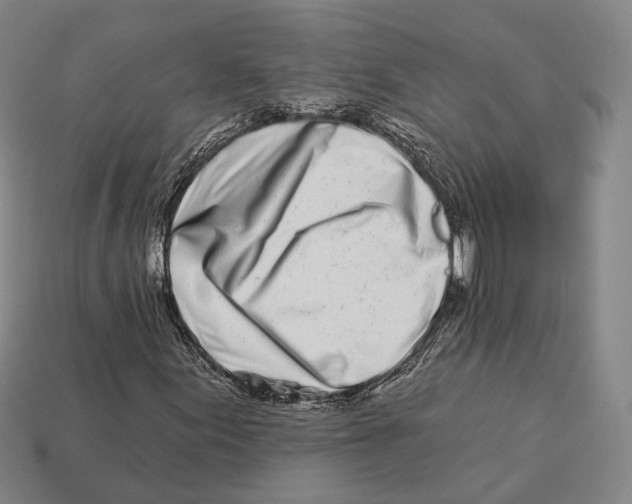 X0000113121155200909251107