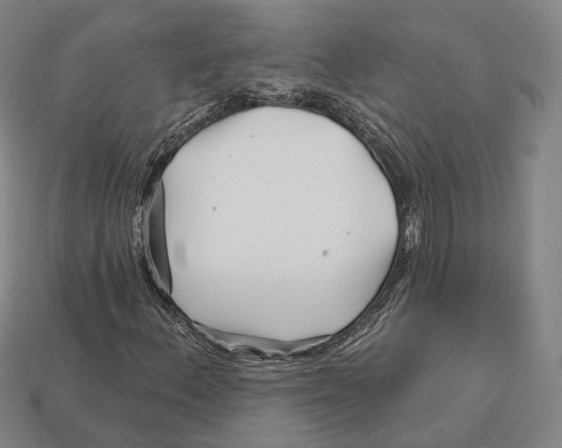 X0000113121156200909251107
