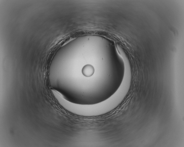 X0000113121157200909251107