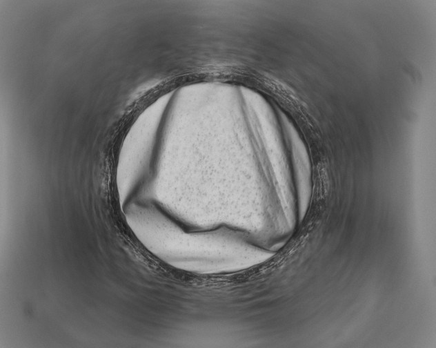 X0000113121158200909251107