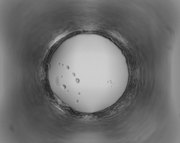X0000113121160200909251107
