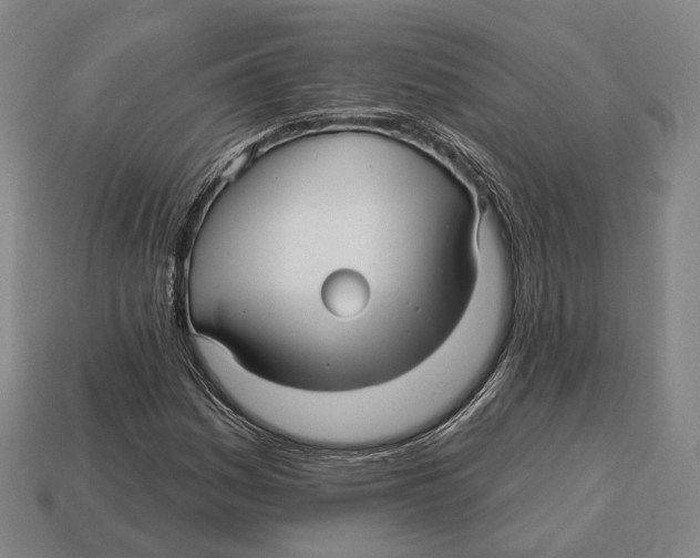 X0000113121161200909251107