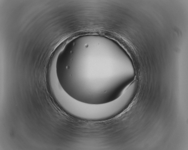 X0000113121162200909251107