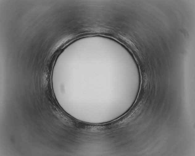 X0000113121163200909251107
