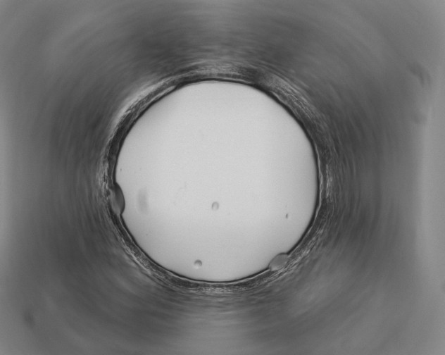 X0000113121164200909251106