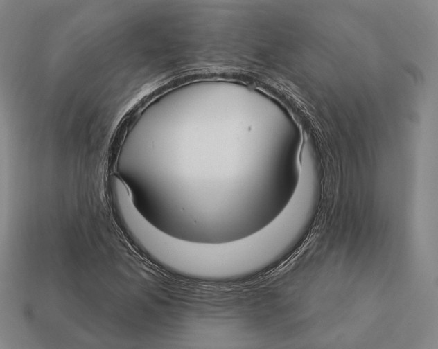 X0000113121165200909251106