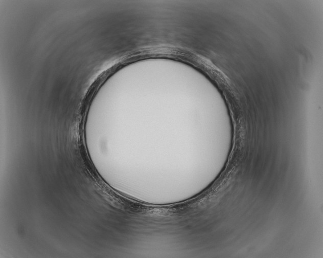 X0000113121166200909251106