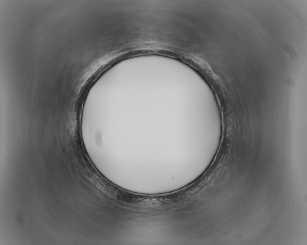 X0000113121167200909251106