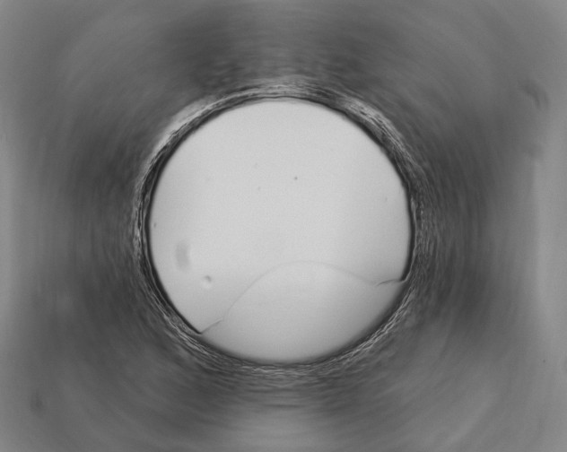 X0000113121168200909251106
