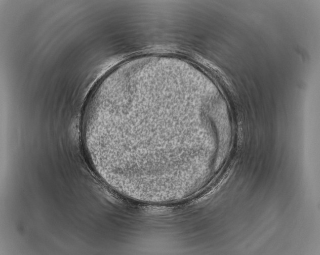 X0000113121170200909251106