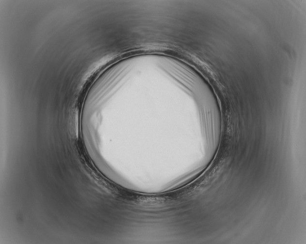 X0000113121171200909251106