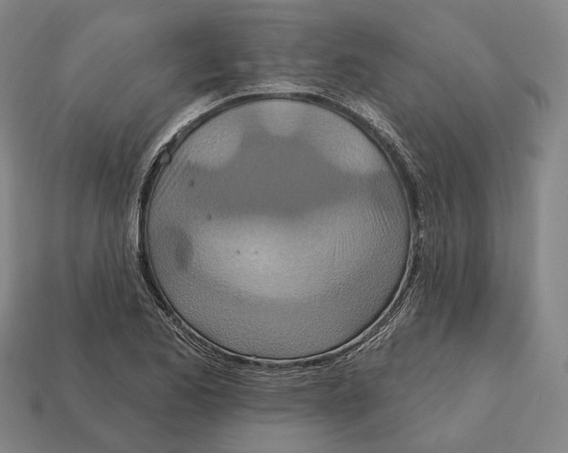 X0000113121173200909251106