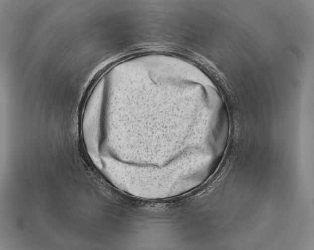 X0000113121174200909251106